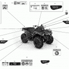 Outlander T 450 EFI - STD_DPS_XU_XU+ - T Regulation 07- body - decals  - xu