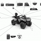 Outlander MAX 570 EFI - STD_DPS_XT - North America 07- body - decals  - dps
