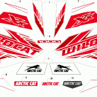 WILDCAT XX EPS WHITE/RED [U2020RGX1PUSW] Decals [303659]