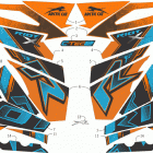 RIOT X 8000 ES 146 ORANGE INTERNATIONAL [S2021R8HRSOSO] Decals [108410]
