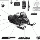 MXZ 600R E-TEC - TNT - North America Наклейки кузова