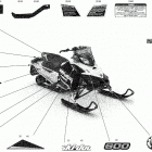 MXZ 600 CARB - North America 09- body - decals - sport