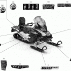 EXPEDITION SPORT 600 ACE - North America 09- body - decals - sport