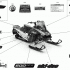RENEGADE 600 ACE - North America 09- body - decals - sport