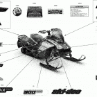 RENEGADE 900 ACE - North America 09- body - decals - adrenaline