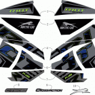 RIOT 8000 ES 146 (1.6) CHARCOAL [S2020RTHLEUSB] Decals [108088]