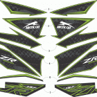 ZR 6000 LTD ES 137 GREEN [S2020ZXDLEUSG] Decals [107916]