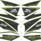 ZR 6000 LTD ES 137 iACT GREEN [S2020ZXDQSUSG] Decals [107940]