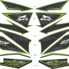 ZR 8000 ES 137 iACT GREEN [S2020ZXHQSUSG] Decals [108083]