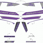 M 8000 MOUNTAIN CAT ES 162 PURPLE INTERNATIONAL [S2019M8HEDOSF] Decals [107203]