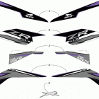ZR 200 PURPLE INTERNATIONAL [S2019ZRAABOSF] Decals [107445]