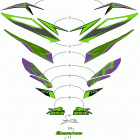 ZR 6000 LTD ES 129 GREEN [S2019ZRDLEUSG] Decals [107301]
