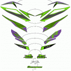 ZR 6000 LTD ES 137 GREEN [S2019ZXDLEUSG] Decals [107269]