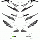 ZR 7000 LTD 137 iACT BLACK [S2019ZXUQSUSB] Decals [106839]