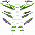 ZR 7000 LTD 137 iACT GREEN [S2019ZXUQSUSG] Decals [106838]