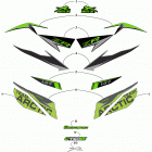 ZR 8000 RR ES 137 GREEN [S2019ZXHRRUSG] Decals [107127]