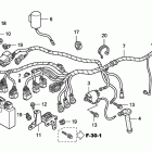 TRX450ER Wire harness (''''06-)