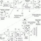 GSX 600 HO 10- electrical harness no dpm