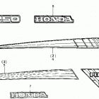 TRX250 Stripe 86-87