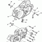 WR 250 Картер