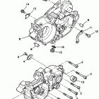 WR 250 Картер