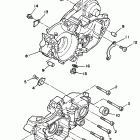WR 250 Картер
