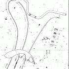 RL250 1974-1975 EXACTA (TRIALS) Handlebar - front fender