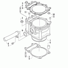 TRV 700 EFI Блок цилиндров
