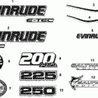 E225DCXSCG Наклейки