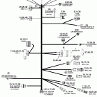 E50DPLSDA Электрический Жгут