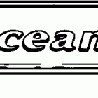 BJ225VCSIF elec start, TNT, 25 in shaft, wht, cntr rotate Accessory transom plate - optional