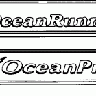 J200CXECM Accessory transom plate -- optional