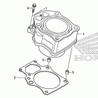 TRX500FPM Цилиндр