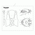 Speed Triple Paint protection kit, type 17