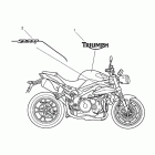 Speed Triple R Bodywork - decals