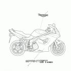 Sprint GT Bodywork - decals