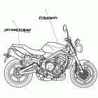 Street Triple Bodywork - decals 480782 >