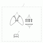 Thunderbird Storm Caliper covers