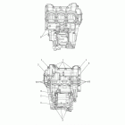 Tiger Explorer Crankcase bolts