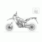 RXV 450-550 Decal set
