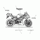 Daytona 675 SE Decals - daytona 675r