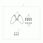Thunderbird Caliper covers