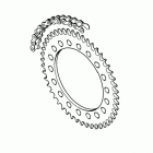 Tiger 1050 Chain & sprocket kit