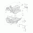 Tiger 1050 SE Crankcase & fittings