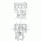 Tiger 1050 SE Crankcase bolts