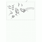 Scrambler Clutch controls & switches