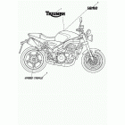 Speed Triple Bodywork - decals - 333179 >