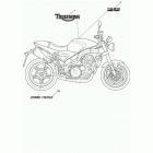 Speed Triple Bodywork - decals >333178