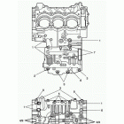Speed Triple Crankcase bolts