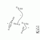 HP2 Sport (K29) Тормозные трубки перед.